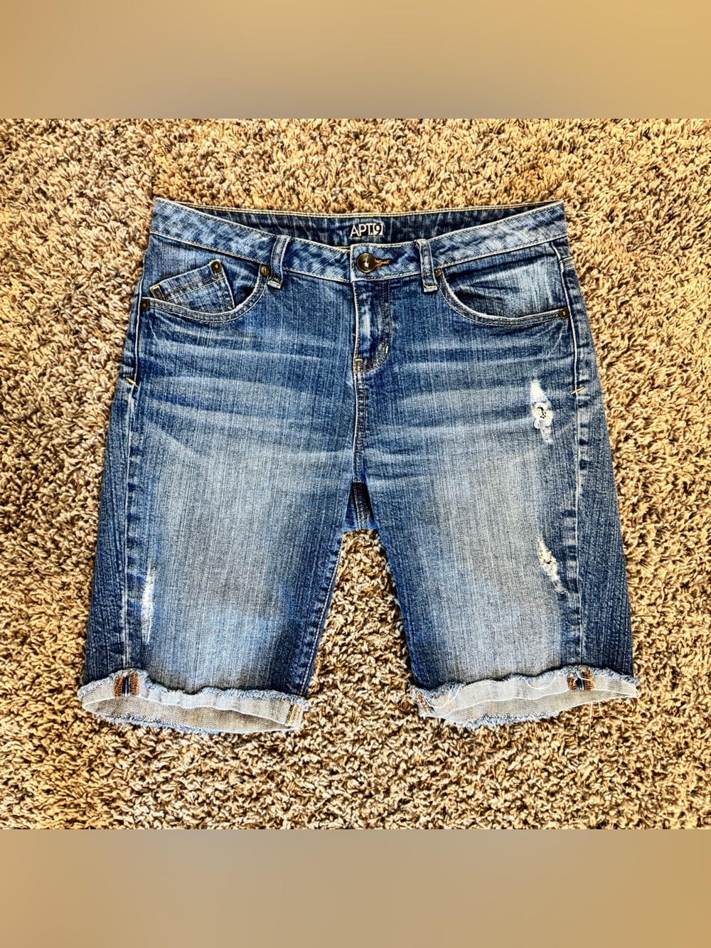 Y2K Low Rise Shorts APT.9